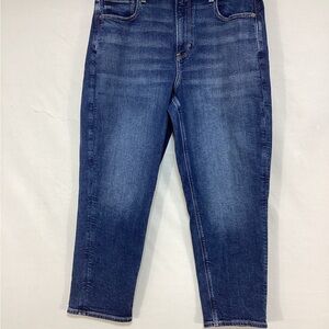 American Eagle Outfitters 14 short Curvy Mom Stretch Denim Pants